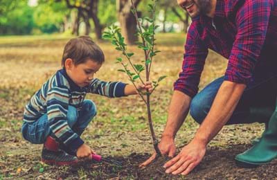 Little boy helping his father to plant the tree (1).jpg